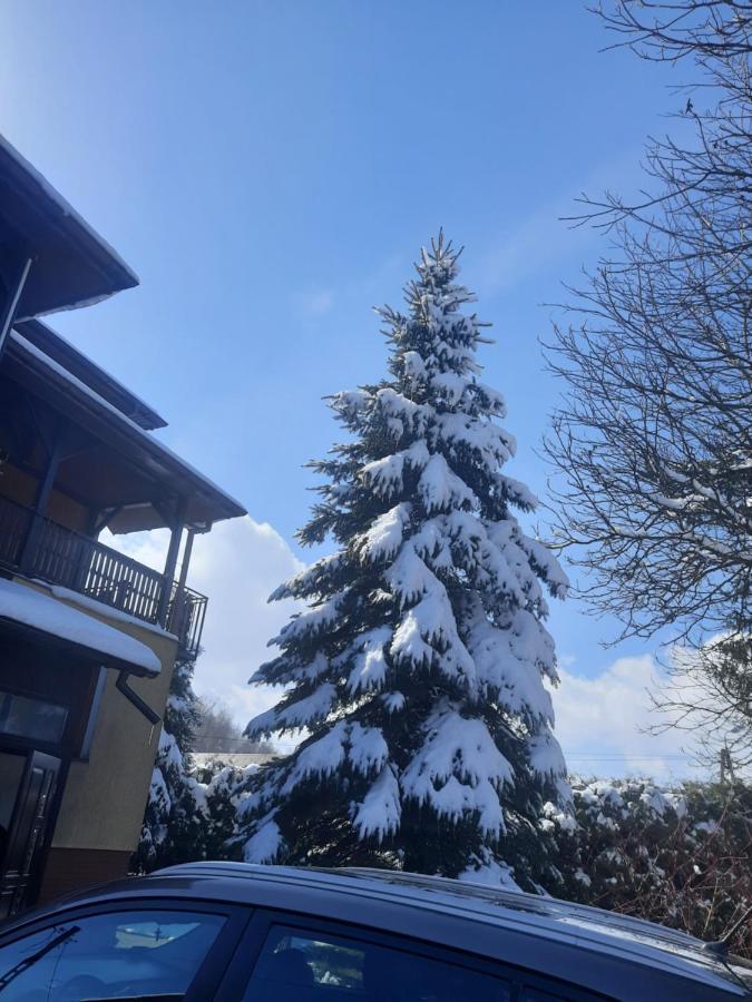 Apartament Naleczow Dom Pod Orzechami Bagian luar foto